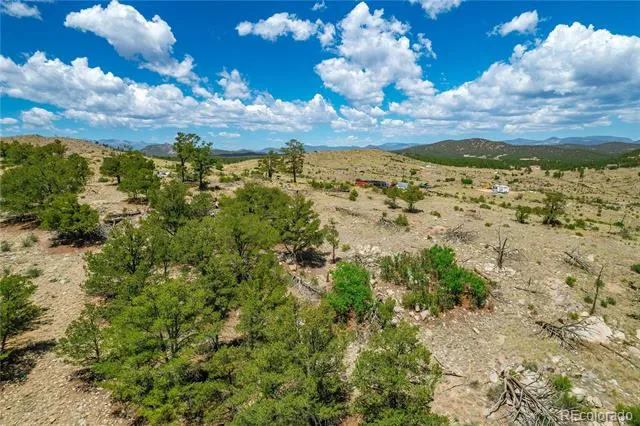 896 Shannon Trail Cotopaxi, CO 81223