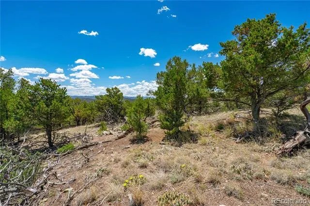 896 Shannon Trail Cotopaxi, CO 81223