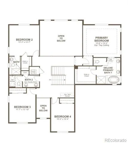 6030 Oban Road Timnath, CO 80547