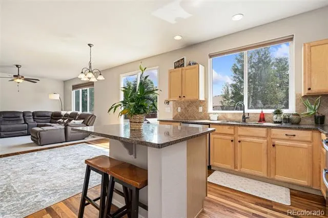 2055 Vineyard Court Windsor, CO 80550