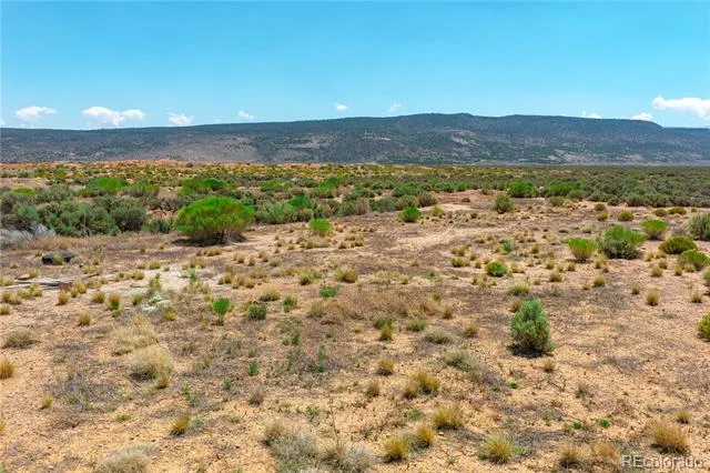 3828 County Road 12.5 San Luis, CO 81152