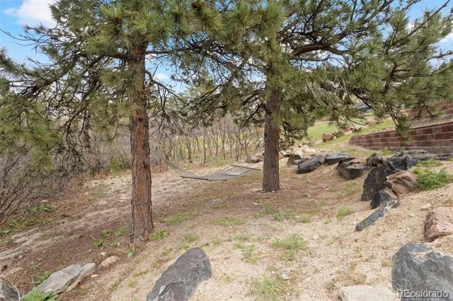 4605 Tierra Alta Drive Castle Rock, CO 80104