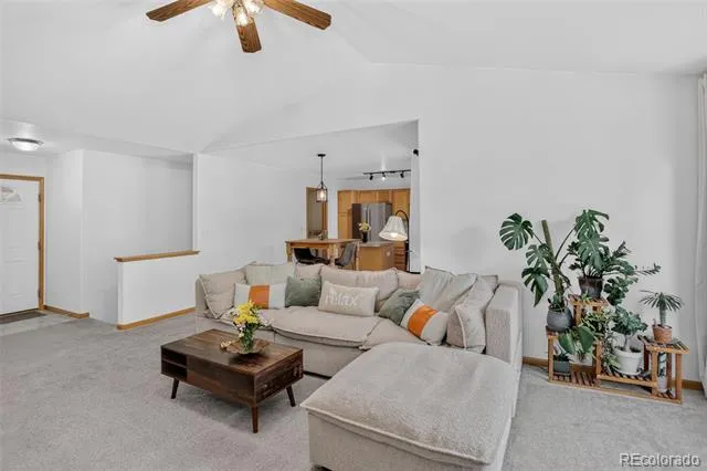 8466 Keenland Way Wellington, CO 80549