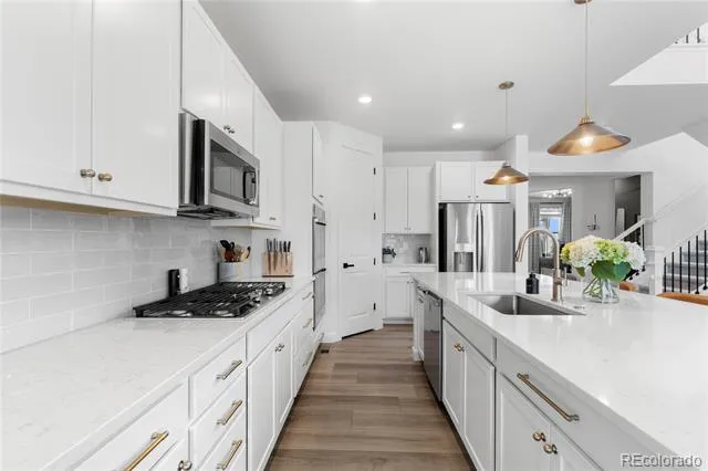 3918 Doubletrack Lane Castle Rock, CO 80108
