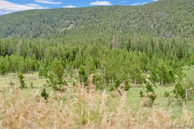 Lot 43 & 44 Silver Creek Road Idaho Springs, CO 80452