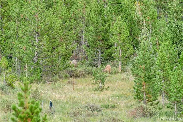 Lot 43 & 44 Silver Creek Road Idaho Springs, CO 80452