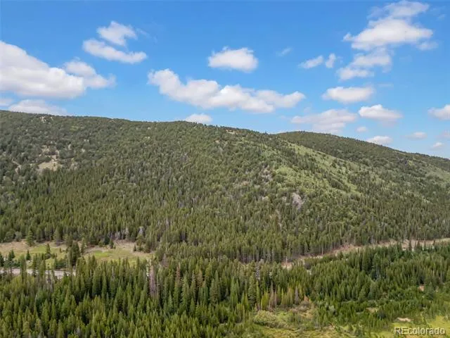 Lot 43 & 44 Silver Creek Road Idaho Springs, CO 80452