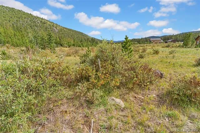Lot 43 & 44 Silver Creek Road Idaho Springs, CO 80452