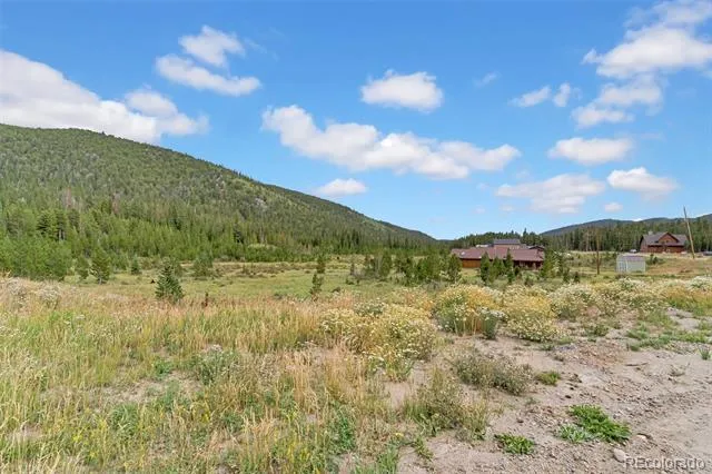 Lot 43 & 44 Silver Creek Road Idaho Springs, CO 80452