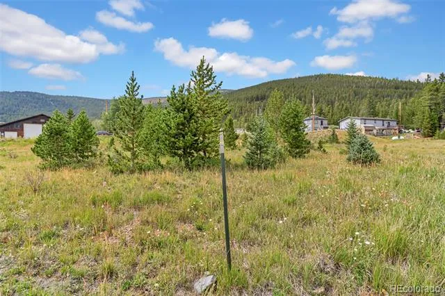 Lot 43 & 44 Silver Creek Road Idaho Springs, CO 80452