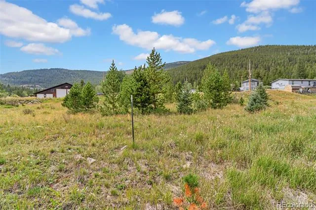 Lot 43 & 44 Silver Creek Road Idaho Springs, CO 80452
