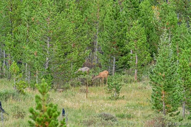 Lot 43 & 44 Silver Creek Road Idaho Springs, CO 80452