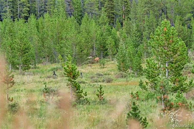 Lot 43 & 44 Silver Creek Road Idaho Springs, CO 80452