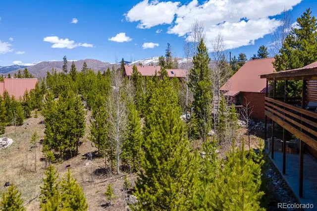 1295 GCR 49 Grand Lake, CO 80447