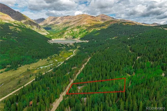 420 Nuthatch Drive Alma, CO 80420