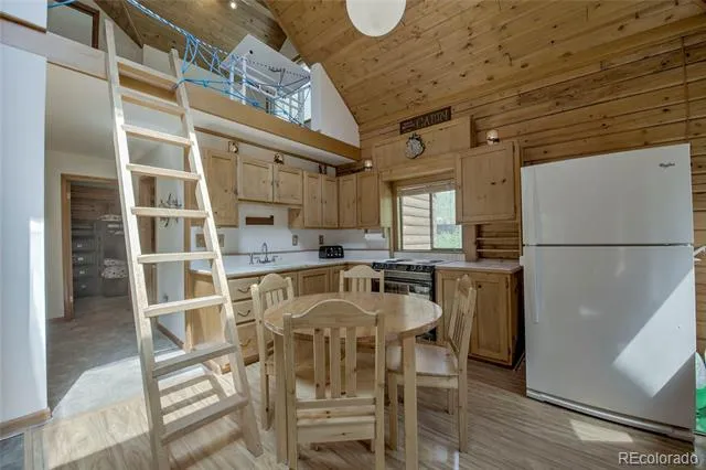 420 Nuthatch Drive Alma, CO 80420