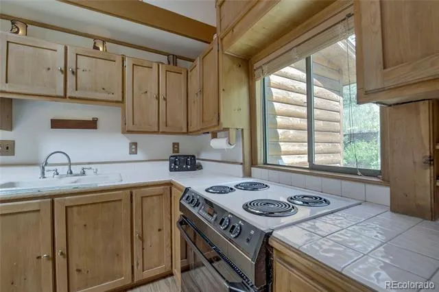 420 Nuthatch Drive Alma, CO 80420