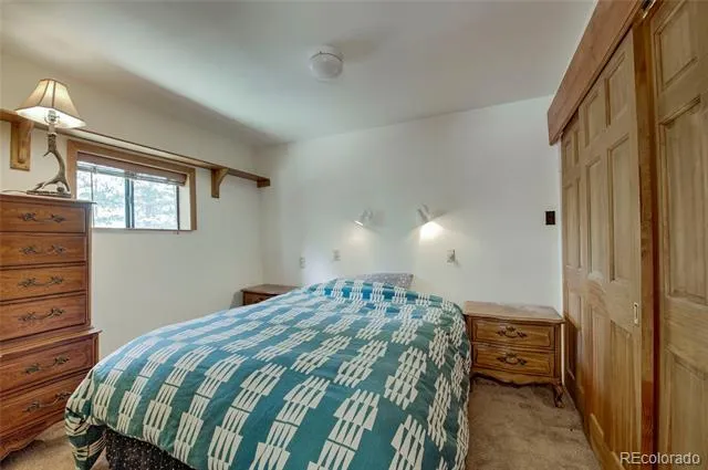 420 Nuthatch Drive Alma, CO 80420