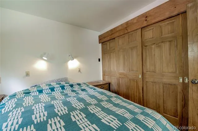 420 Nuthatch Drive Alma, CO 80420