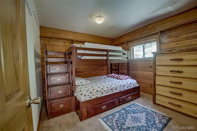 420 Nuthatch Drive Alma, CO 80420