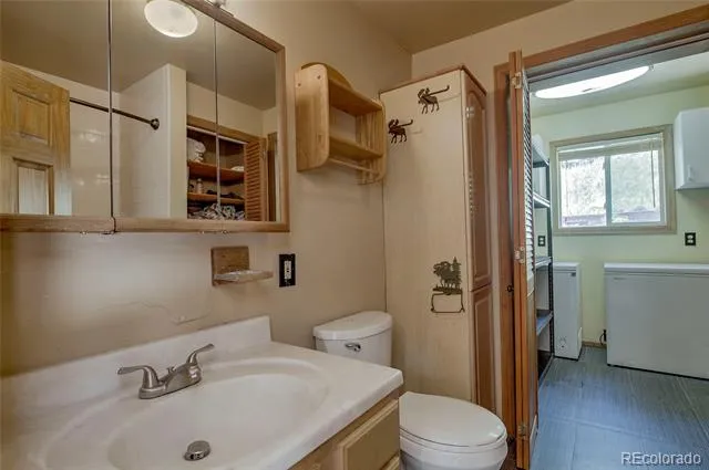 420 Nuthatch Drive Alma, CO 80420