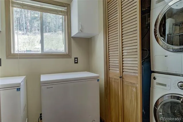 420 Nuthatch Drive Alma, CO 80420