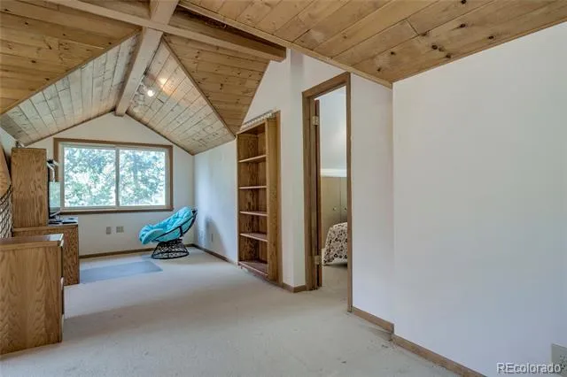 420 Nuthatch Drive Alma, CO 80420