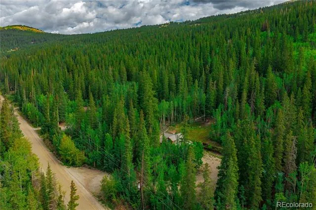420 Nuthatch Drive Alma, CO 80420