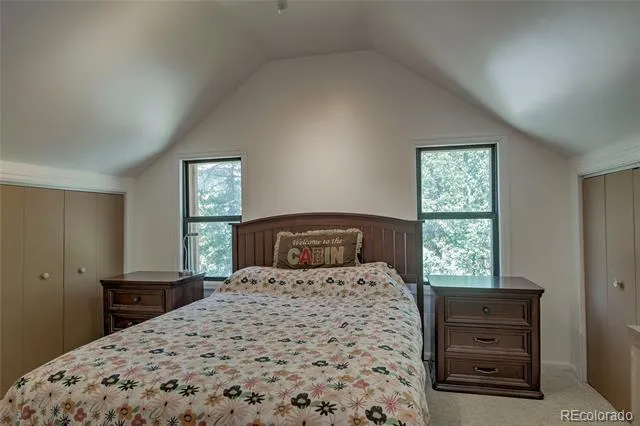 420 Nuthatch Drive Alma, CO 80420