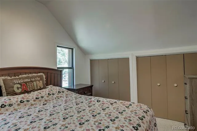 420 Nuthatch Drive Alma, CO 80420