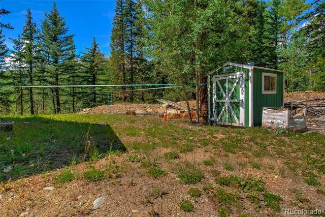 420 Nuthatch Drive Alma, CO 80420