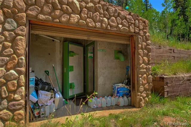 420 Nuthatch Drive Alma, CO 80420