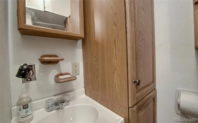 420 Nuthatch Drive Alma, CO 80420