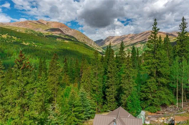 420 Nuthatch Drive Alma, CO 80420