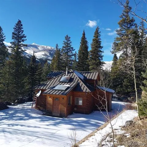 420 Nuthatch Drive Alma, CO 80420