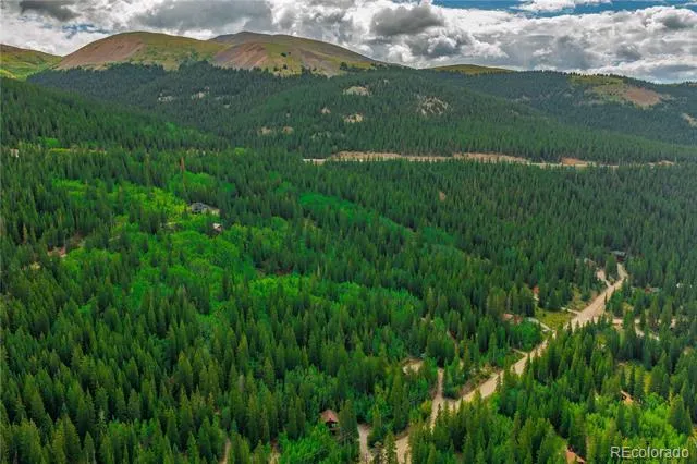 420 Nuthatch Drive Alma, CO 80420