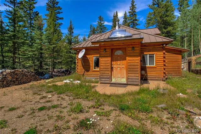 420 Nuthatch Drive Alma, CO 80420