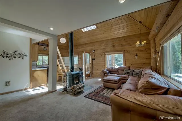 420 Nuthatch Drive Alma, CO 80420