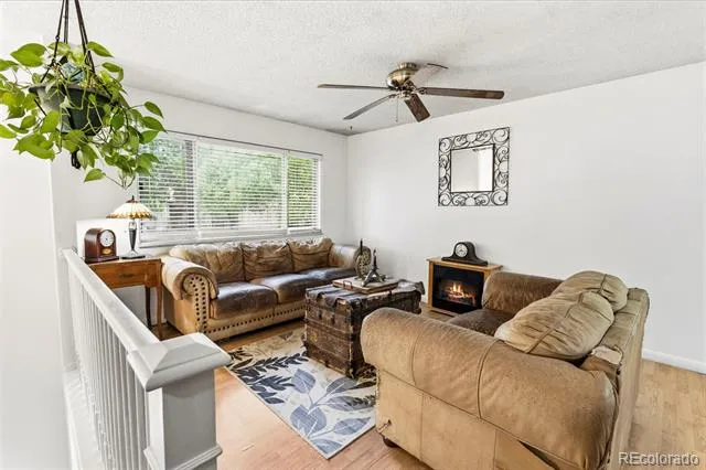541 Sycamore Drive Windsor, CO 80550