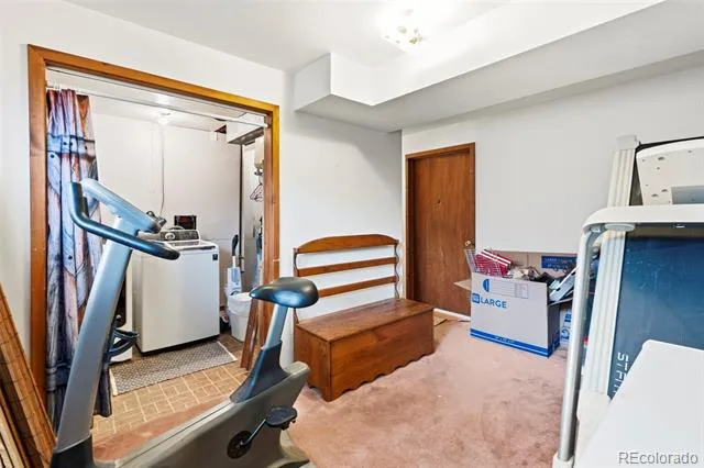 541 Sycamore Drive Windsor, CO 80550