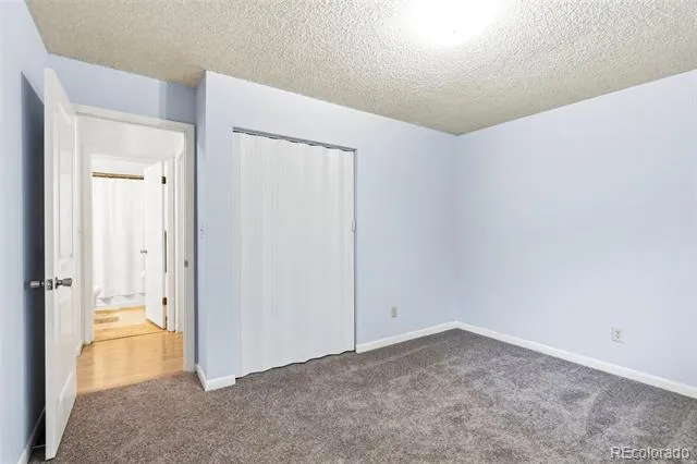 541 Sycamore Drive Windsor, CO 80550