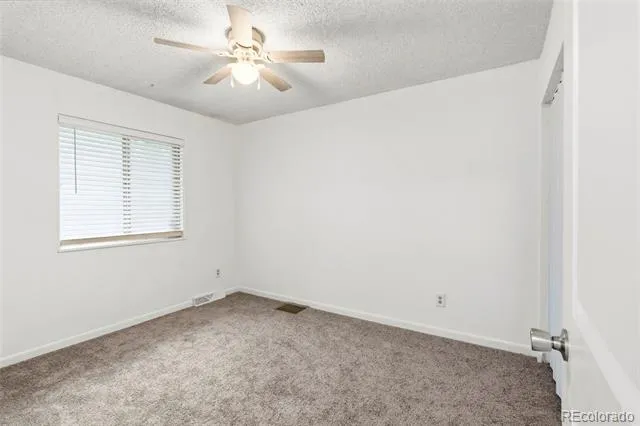 541 Sycamore Drive Windsor, CO 80550
