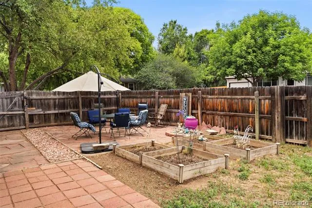 541 Sycamore Drive Windsor, CO 80550
