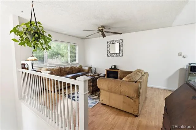 541 Sycamore Drive Windsor, CO 80550