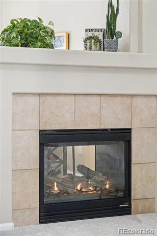 7466 S Norfolk Street Aurora, CO 80016