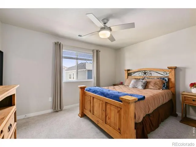 4448 Haymill Court Timnath, CO 80547