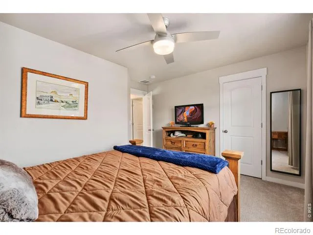 4448 Haymill Court Timnath, CO 80547
