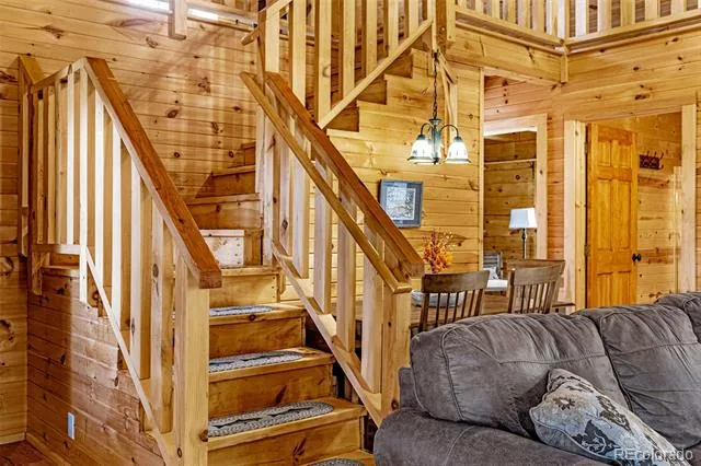 322 Phoebus Drive Florissant, CO 80816