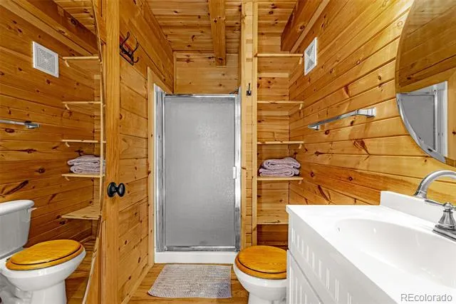 322 Phoebus Drive Florissant, CO 80816