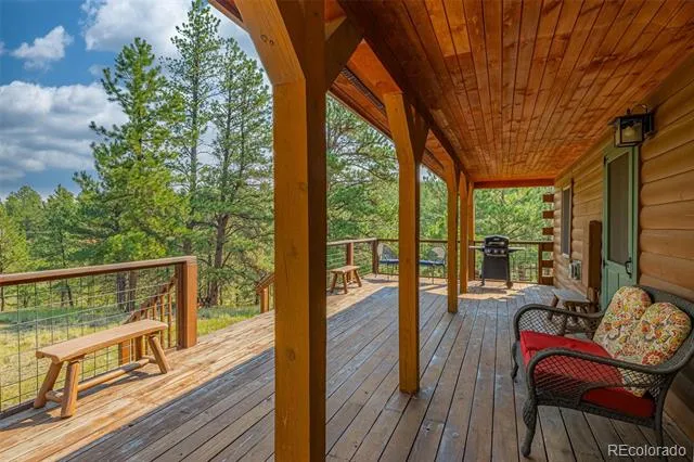 322 Phoebus Drive Florissant, CO 80816